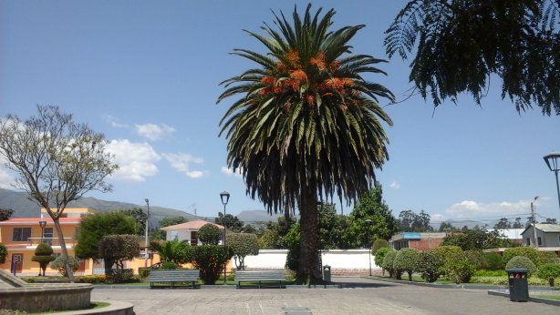 Tababela, Ecuador